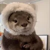 peoobabii
