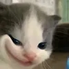anbatukangd