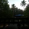 userabimonkutkunj