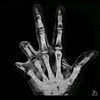 wilmotdavid08