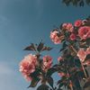 aesthetic_9012