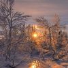nightman_85