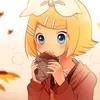 rins.knife