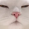 mkxxpo