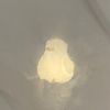 aczile