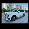 ali.hamza829