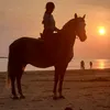 la_ananas_2006