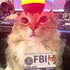 407fbi_acent.cat407