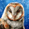 pribluda89rus