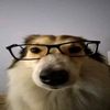 _luvwez_easy_