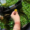 miiaa0025