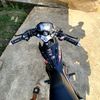 tio_alvarez27