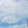 cxllme2124