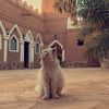 ali1_9_7
