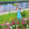 nguyencuc6688