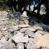 rethuthhfo