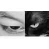 chen_2005_12