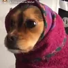 anniegumman123