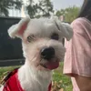 jamuzumielmon