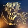 arnon_ssn