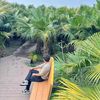nanda074487