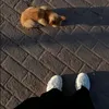 frmesk_a_abdullah