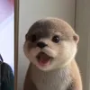 snkkdskeehsk