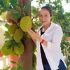 thuyphampham