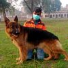 ghulamabbas7988