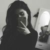 hams_24
