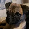 zaynesdad47