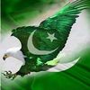 pakistanitiger96