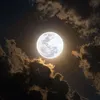 moon_101888