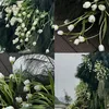 tthuy168168
