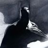 itsbatszn
