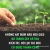 canhthin26072000