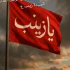 hamed_delli