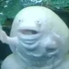 the__peeman