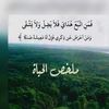 usergo5jo2x8df