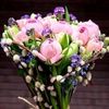 bnt_4syria