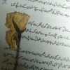 faisalg802