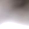 tazo565