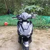 tinhday203