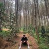 RMD