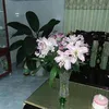 hongthaole8