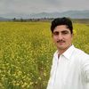 shakirzebzeb
