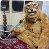 bo_wrda