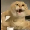 mrbubus