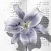 99jno1