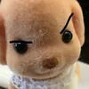 pipipupu_1105